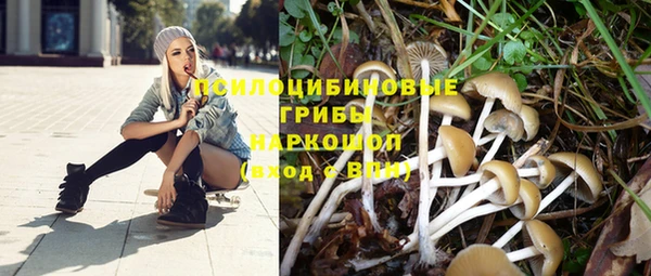 дмт Абинск