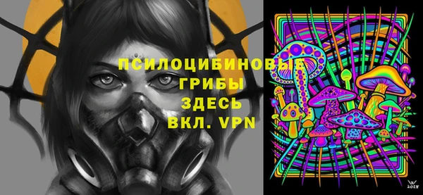 гидропоника Абаза