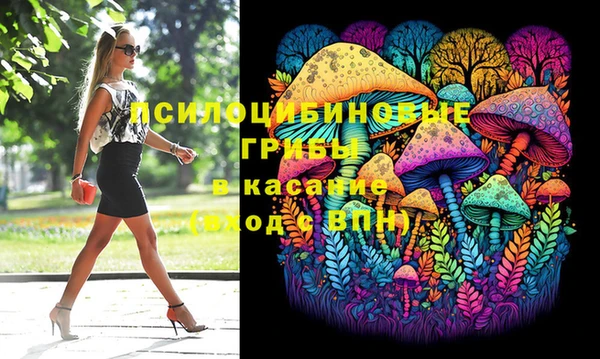гидропоника Абаза